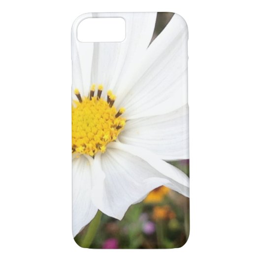 iPhone Case für den White Cosmos Blume (Rückseite)