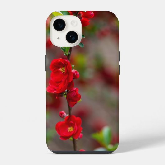 iPhone Case für die Scarlet Line Hülle (Rückseite)