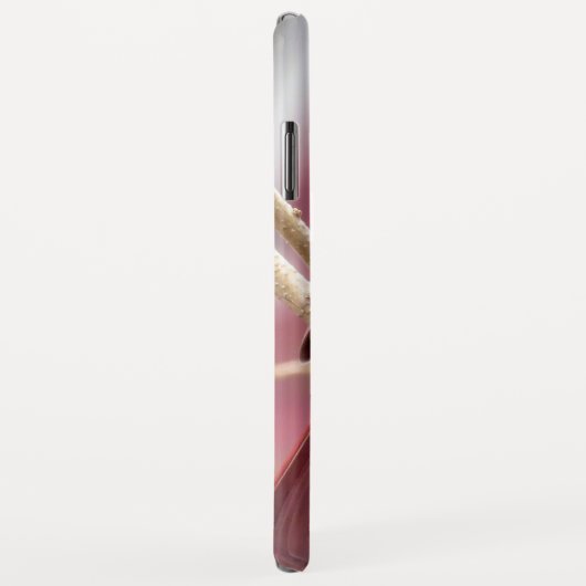 iPhone Case für Red Kardinal (Hinten/Rechts)