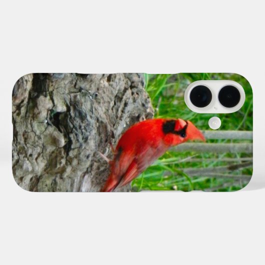 iPhone Case für Red Kardinal (Rückseite (Horizontal))