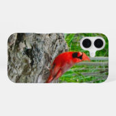iPhone Case für Red Kardinal 16 Hülle (Rückseite (Horizontal))