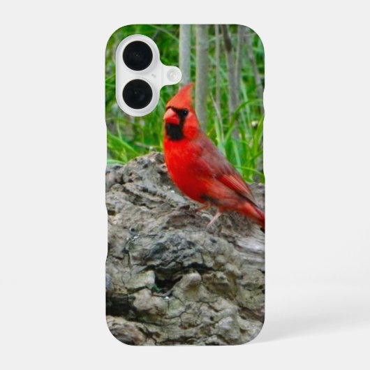 iPhone Case für Red Kardinal 16 Hülle (Rückseite)