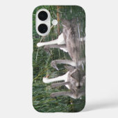 iPhone Case für Swans und Cygnets (Rückseite)