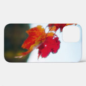 iPhone Case im Herbst Leaf (Rückseite (Horizontal))