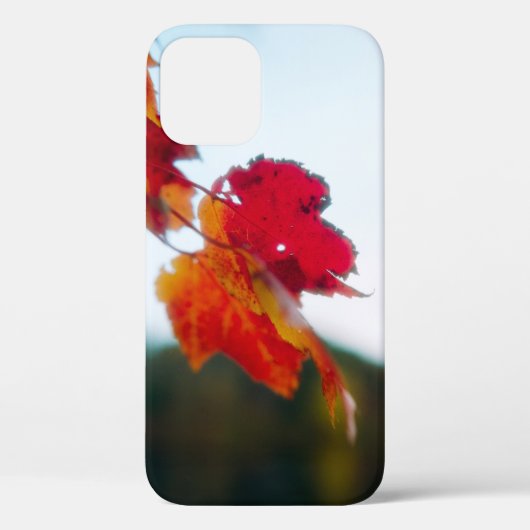 iPhone Case im Herbst Leaf (Rückseite)