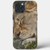 iPhone Case-Mate Hülle (Rückseite)