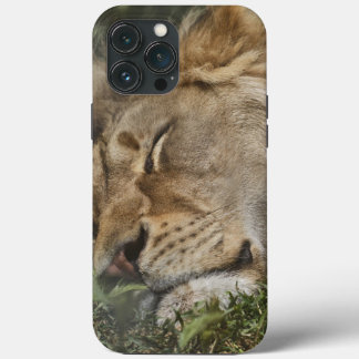 iPhone Case-Mate Hülle