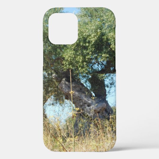 iPhone Case-Mate iPhone Hülle (Rückseite)