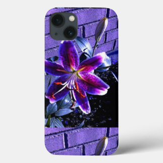 iPhone Case-Mate iPhone Hülle