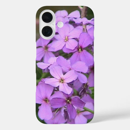 iPhone Case mit lila Wildblume (Rückseite)