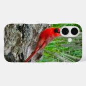 iPhone Case mit rotem Kardinal (Ohio) (Rückseite (Horizontal))