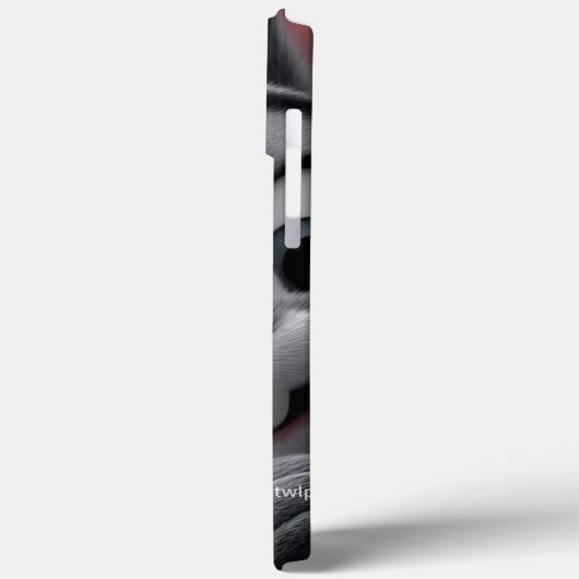 Iphone cases  (Rückseite / Links)