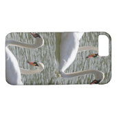 IPhone Cases Swans (Rückseite (Horizontal))
