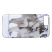 IPhone Cases Wolves (Rückseite (Horizontal))