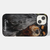 iPhone Cover, cavalier spaniel, iPhone 11 Hüllen Hülle (Rückseite (Horizontal))