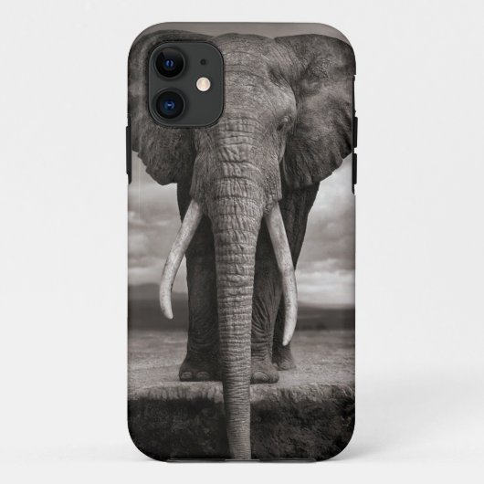 iphone, Elefant Case-Mate iPhone Hülle (Rückseite)