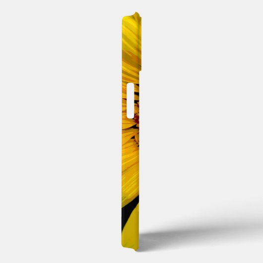 IPHONE-FALL IM SONNENSCHIRM-FOTO 13 Case-Mate iPhone HÜLLE (Rückseite / Rechts)