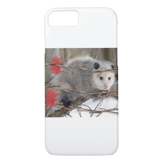 IPhone Fälle Opossum-Natur Case-Mate iPhone Hülle (Rückseite)