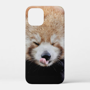 iPhone Gehäuse Foto Riesenpanda , Tiere. Case-Mate iPhone Hülle