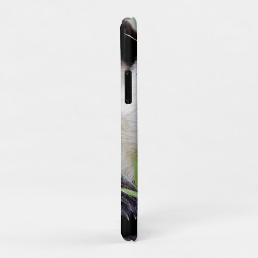 iPhone Gehäuse Foto Riesenpanda , Tiere. Case-Mate iPhone Hülle (Hinten/Rechts)