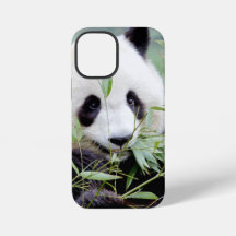 iPhone Gehäuse Foto Riesenpanda , Tiere.