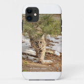 iPhone Hülle (Rückseite)