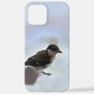 iPhone 12 PRO MAX HÜLLE