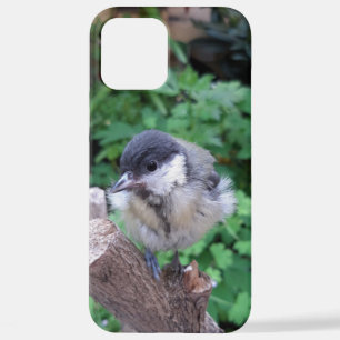  iPhone 12 PRO MAX HÜLLE