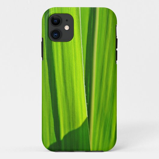 iPhone Hülle Grüne Maisæ5 (Rückseite)