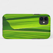 iPhone Hülle Grüne Maisæ5 (Rückseite (Horizontal))