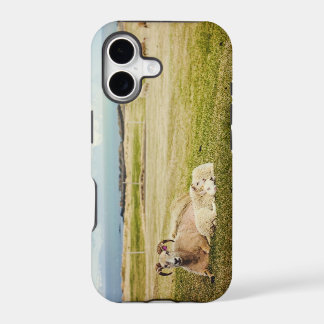 iPhone-Hülle mit Isländischem Schaf