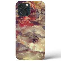 iPhone-Hülle - Quarz in versteinerter Klotz 3 Rot