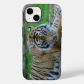iPhone/iPad-Fall: Tiger-Blick Case-Mate iPhone Hülle (Rückseite)