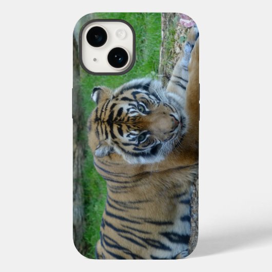 iPhone/iPad-Fall: Tiger-Blick Case-Mate iPhone Hülle (Rückseite)