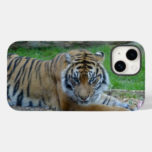 iPhone/iPad-Fall: Tiger-Blick Case-Mate iPhone Hülle (Rückseite (Horizontal))