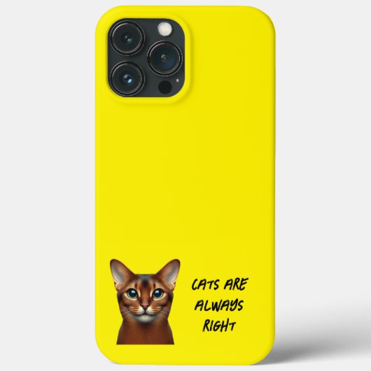 iPhone/iPad-Gehäuse Case-Mate iPhone Hülle (Rückseite)