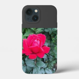 iPhone/iPad-Gehäuse Case-Mate iPhone Hülle