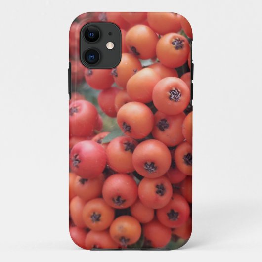 iPhone/iPad-Gehäuse Case-Mate iPhone Hülle (Rückseite)