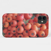 iPhone/iPad-Gehäuse Case-Mate iPhone Hülle (Rückseite (Horizontal))