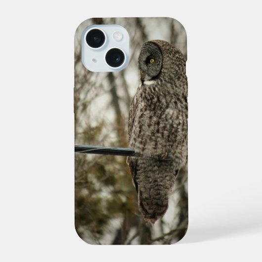iPhone/iPad-Gehäuse mit Niedlicher Eule-Design iPhone 15 Hülle (Rückseite)