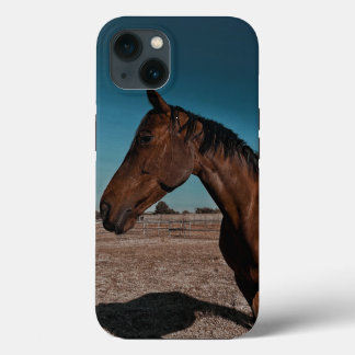 iPhone / iPad-Hülle Case-Mate iPhone Hülle