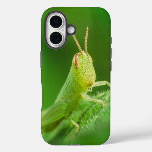 iPhone / iPad-Hülle 16 Hülle