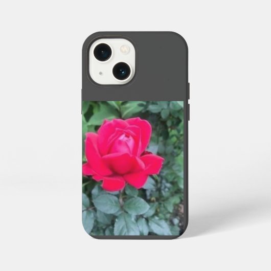 iPhone / iPad Hülle iPhone 13 Mini Hülle (Rückseite)