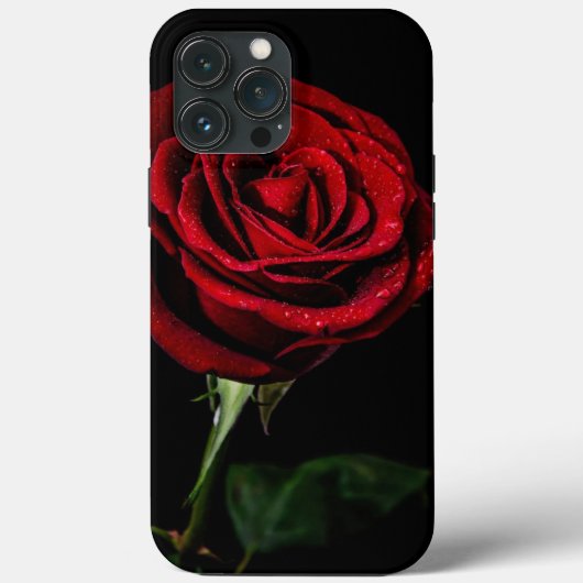 IPhone magic Rose Case (Rückseite)