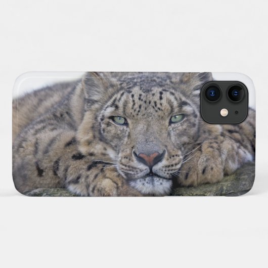 iPhone mit Mit Augen Blick 11 Fall Case-Mate iPhone Hülle (Rückseite (Horizontal))