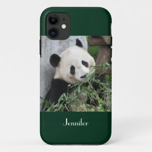 iPhone SE/5/5s Case Giant Panda Grüner Hintergrun