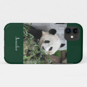 iPhone SE/5/5s Case Giant Panda Grüner Hintergrund (Rückseite (Horizontal))