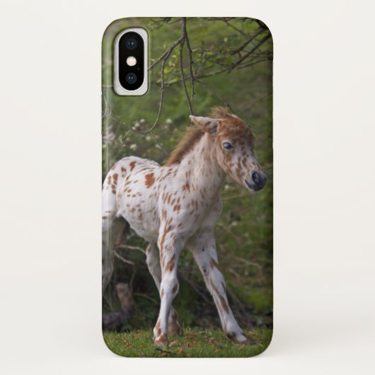 iPhone X Case für Freckles (Rückseite)