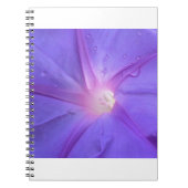 ipomus notizblock (Vorderseite)