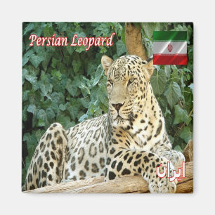 IR - Iran - Persischer Leopard Magnet